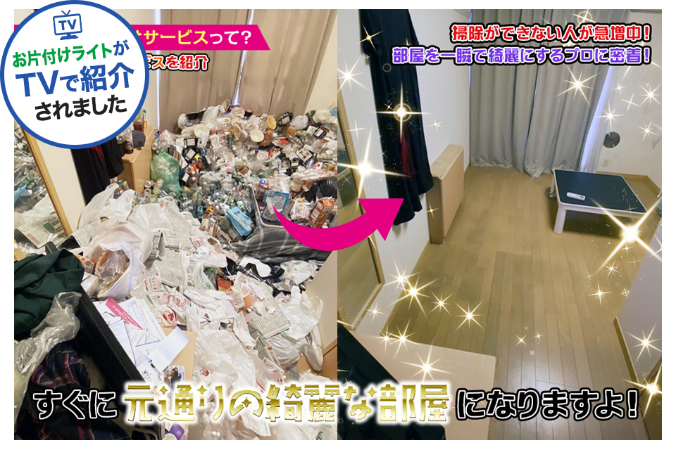 メディアでの紹介実績